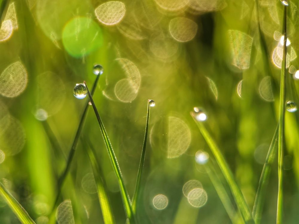 Photograph by Tanzilya Gabidullina