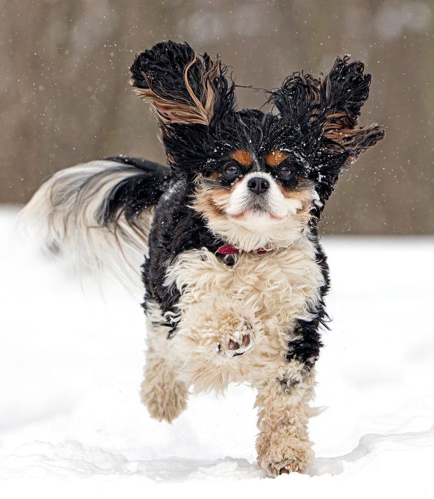 Photograph by Павлов Дмитрий