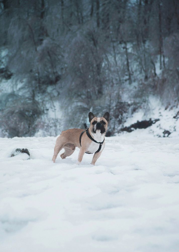 Photograph by Denis Trushtin