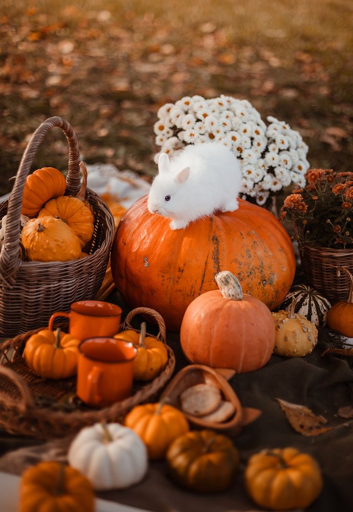 Photograph by Елена Тульчинская