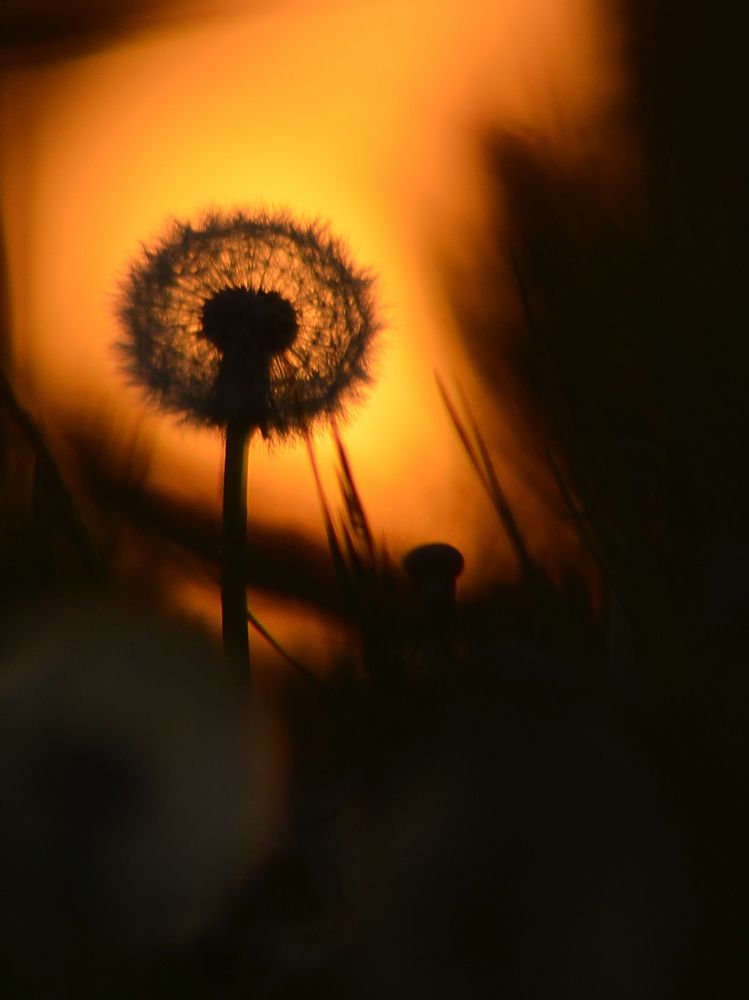 Photograph by Ольга Заповедная