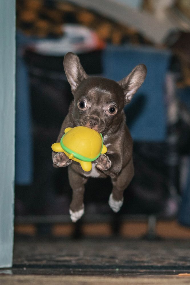 Photograph by Дмитрий Бутенко