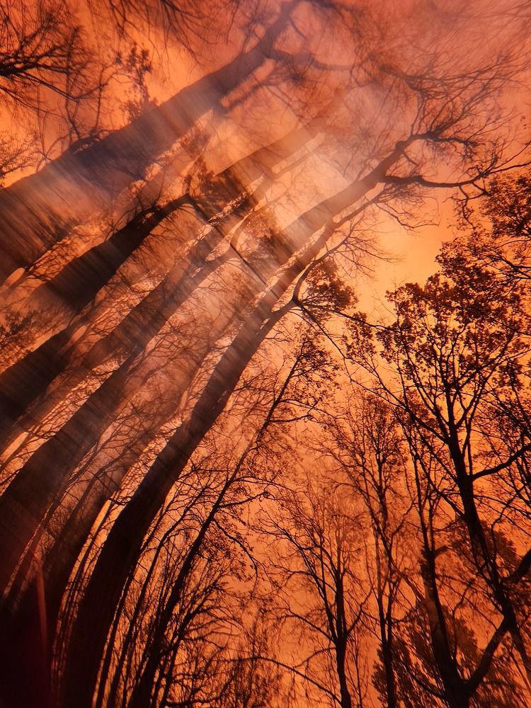 Photograph by Anna Pavlova