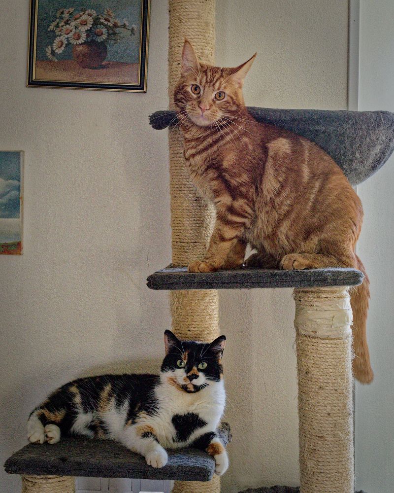 Photograph by Aleksei Degtjarjov