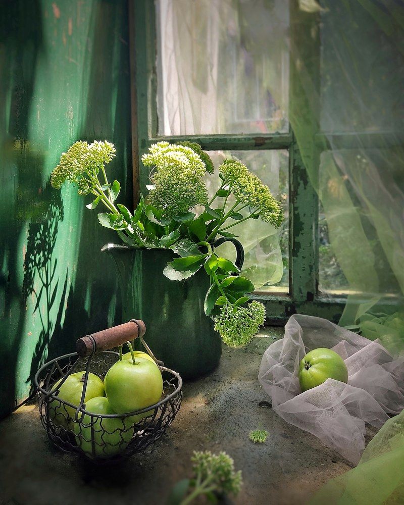 Фотография автора Инга