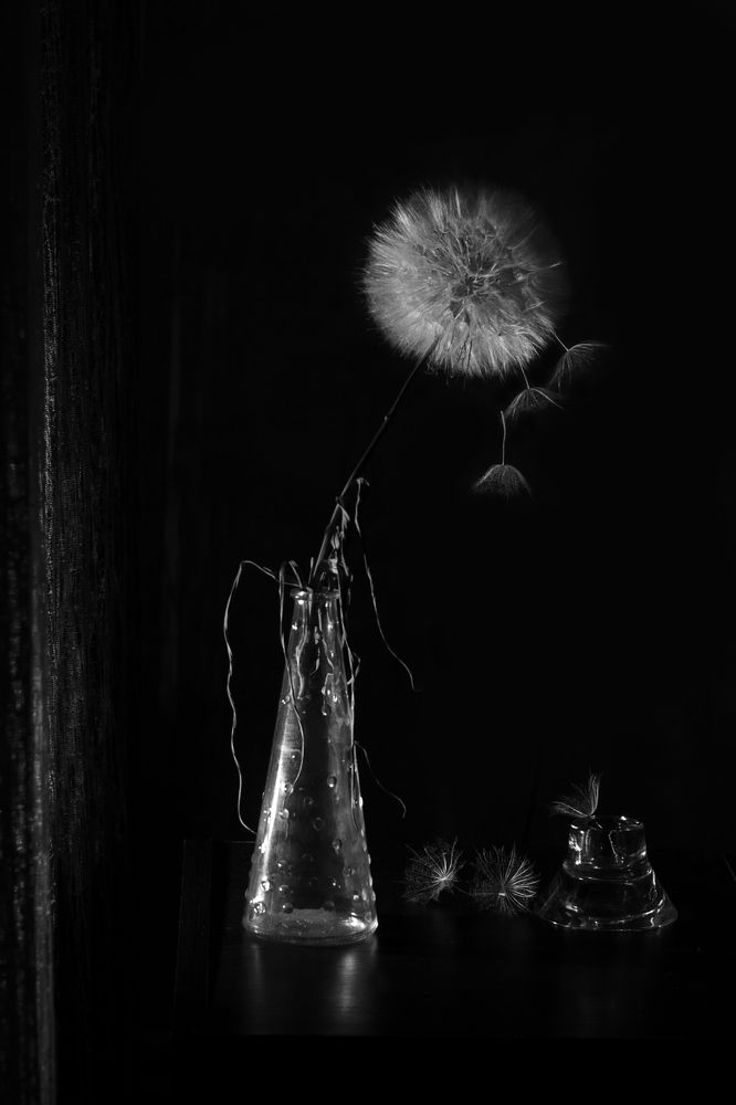 Photograph by Наталия Брянцева