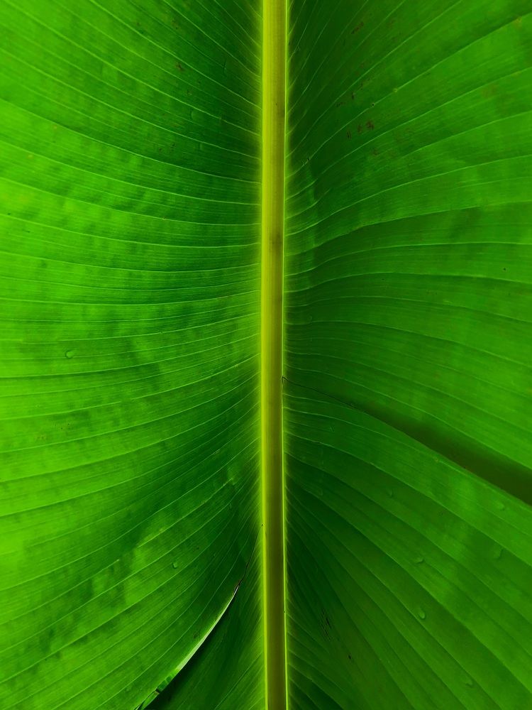 Photograph by Denis Trushtin