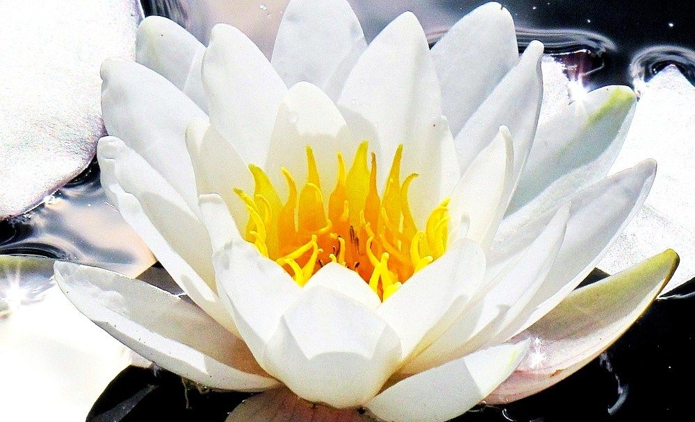Photograph by 