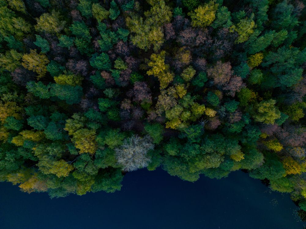 Фотография автора Сергей Старых
