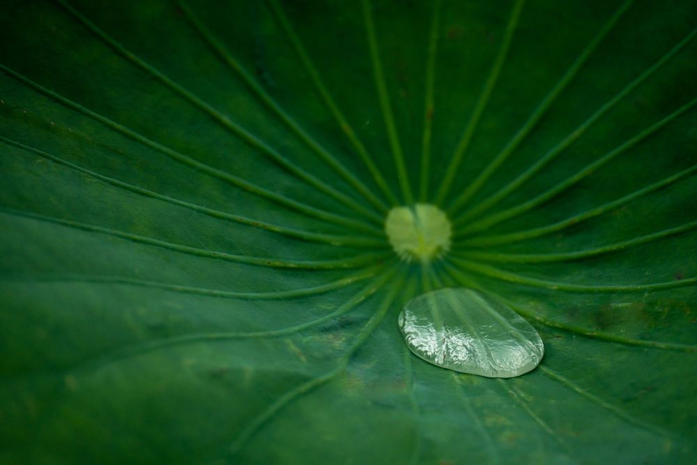 Photograph by Полякова Наталия