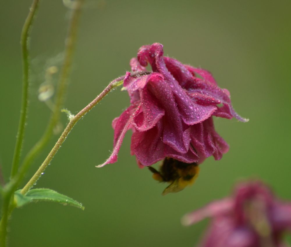 Photograph by Ольга Заповедная