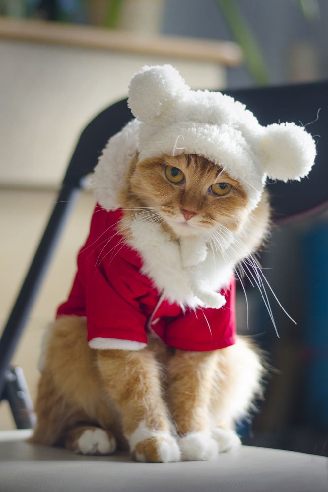 Photograph by Людмила Сиденко