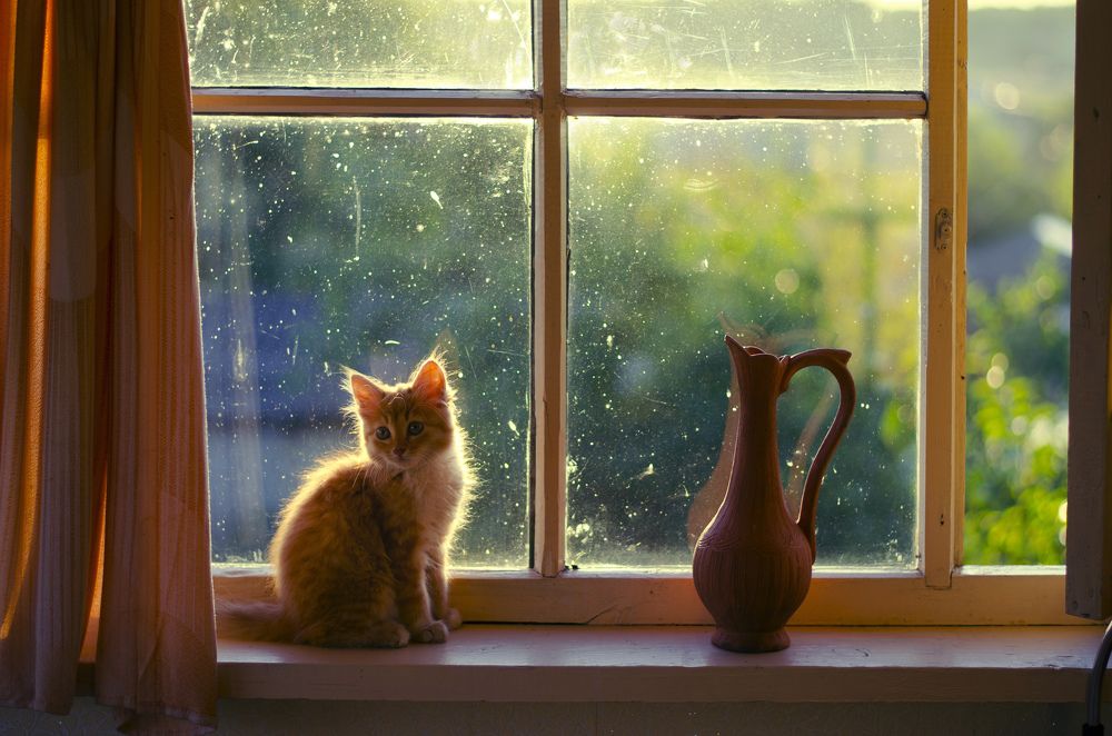 Photograph by Людмила Сиденко