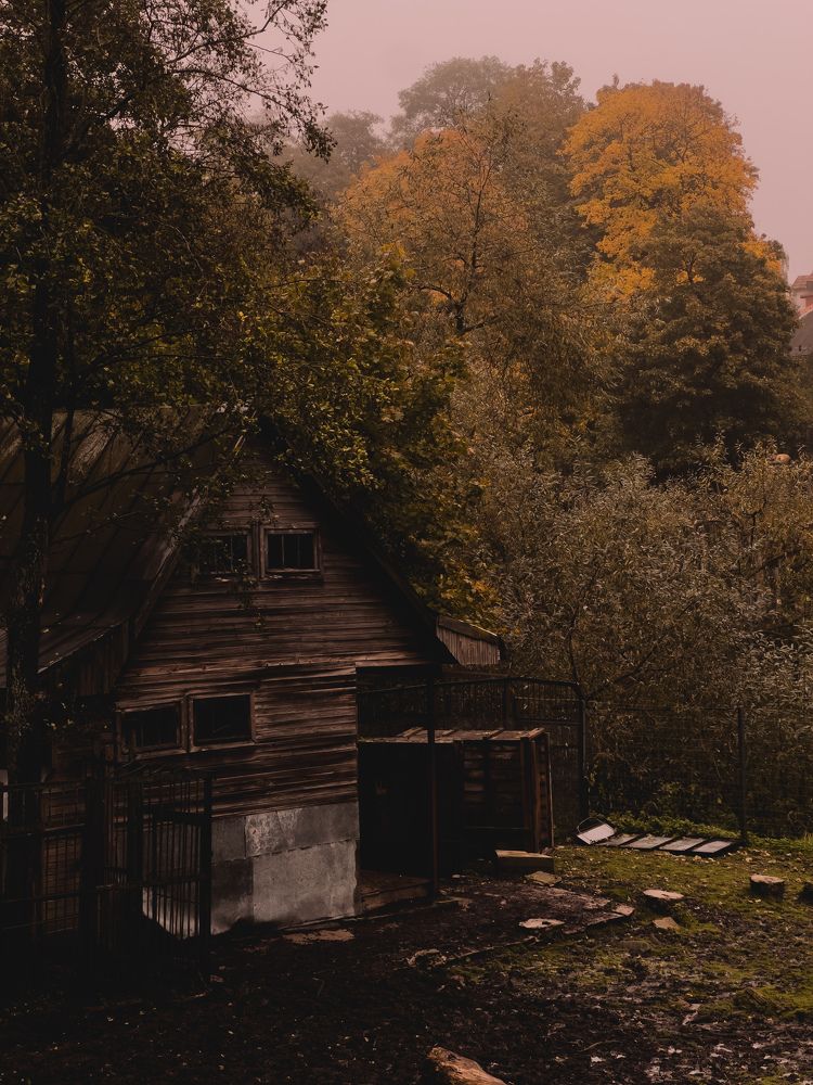 Photograph by Алиса Нежинская