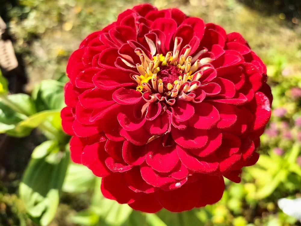 Photograph by Юлия Шалыгина