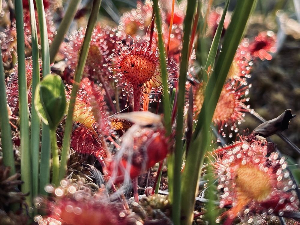 Photograph by Evgenia Barinova