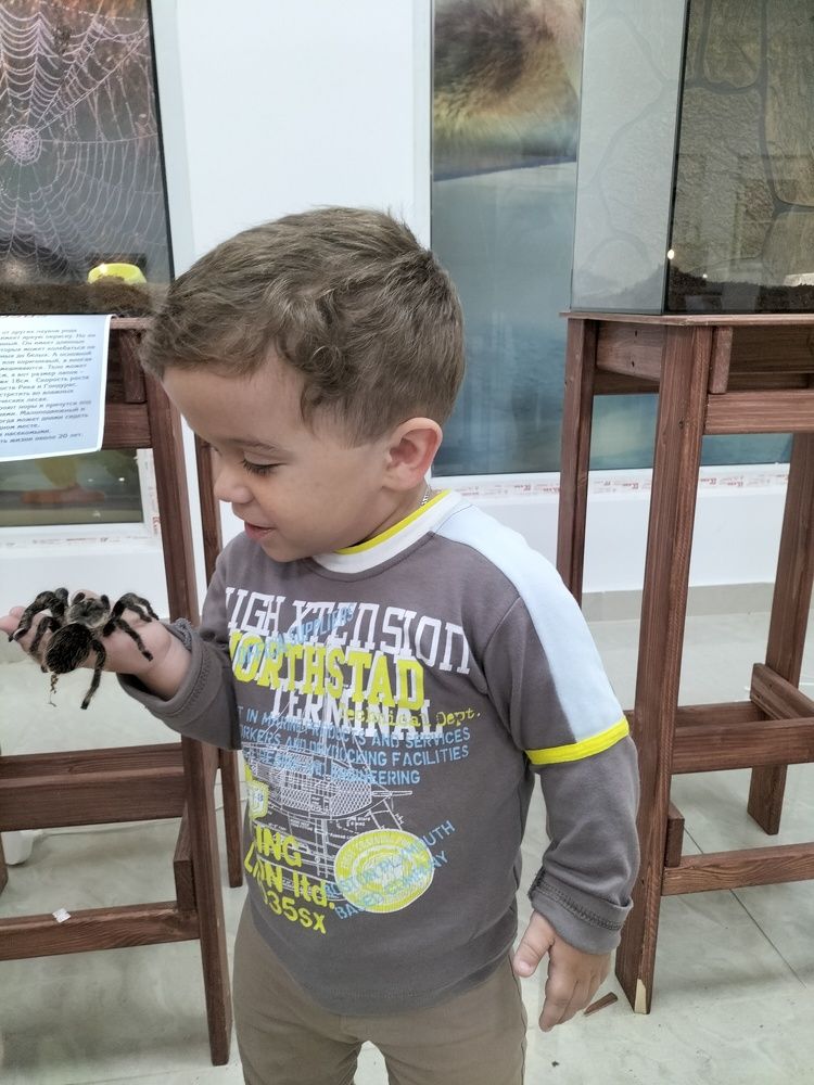 Photograph by Юлия Шалыгина