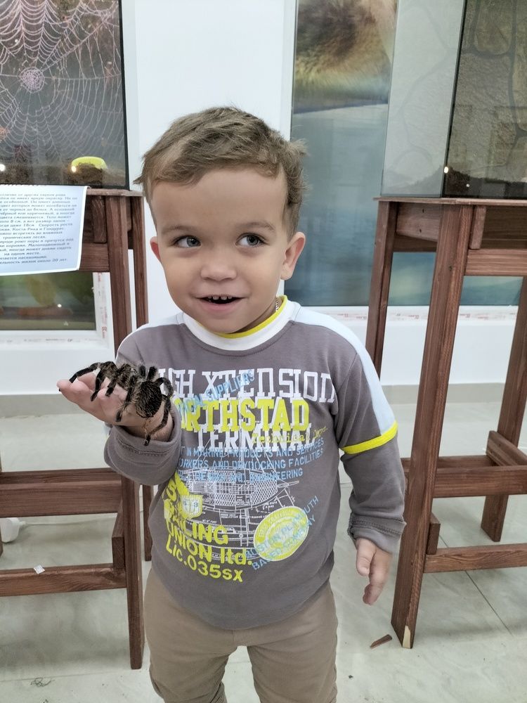 Photograph by Юлия Шалыгина