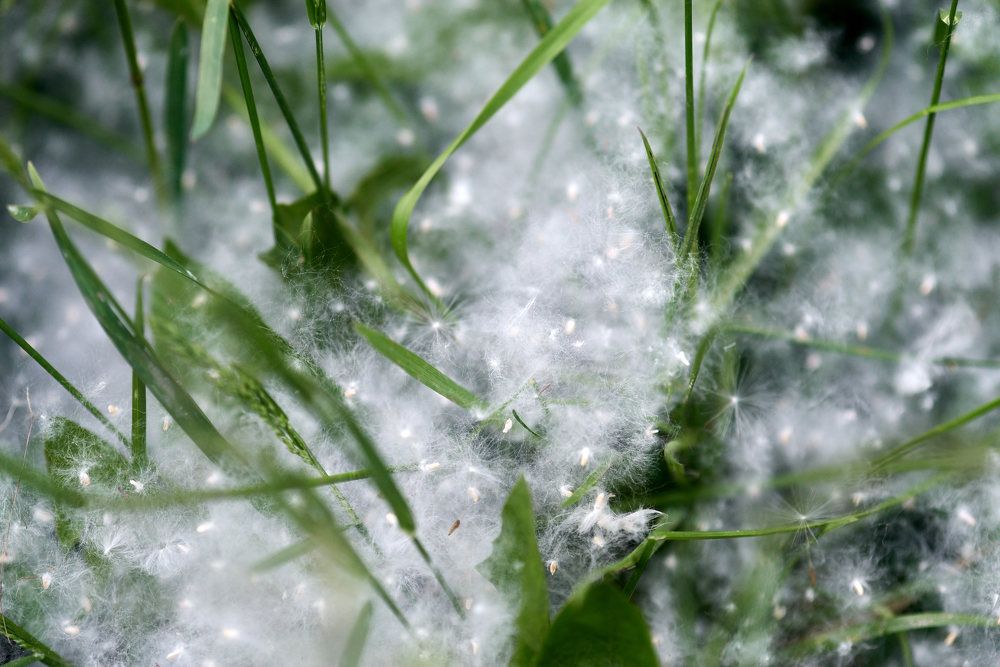 Photograph by Дмитрий Солодухин