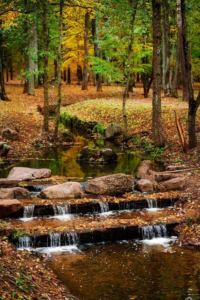 Photograph by Дмитрий