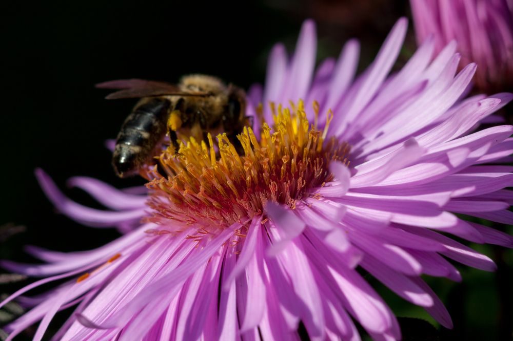 Photograph by Olga Snai