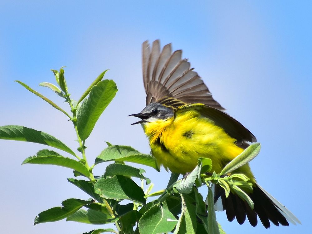 Photograph by Николай Абакумов