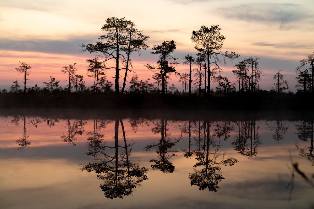 Фотография автора Голубцов