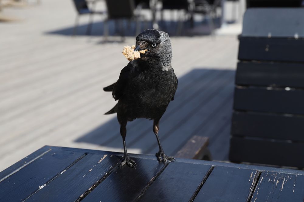 Photograph by Елена Тимченко