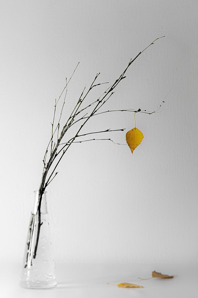 Photograph by Татьяна Штунь