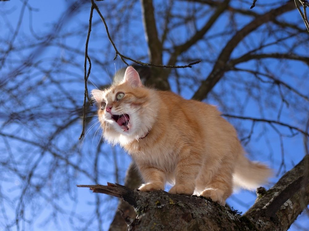 Весна пришла!