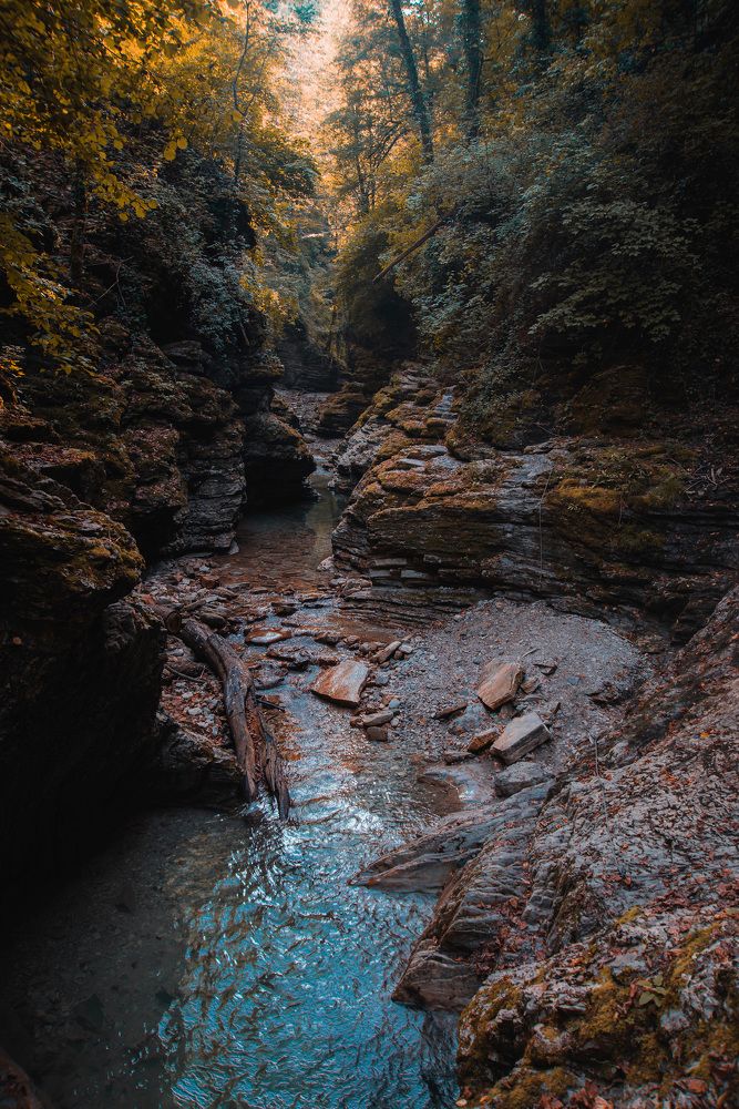 Photograph by Denis Trushtin