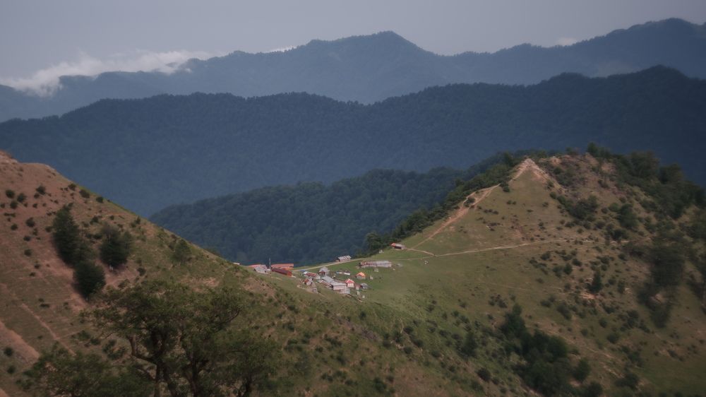 Фотография автора Faeze Eskandari