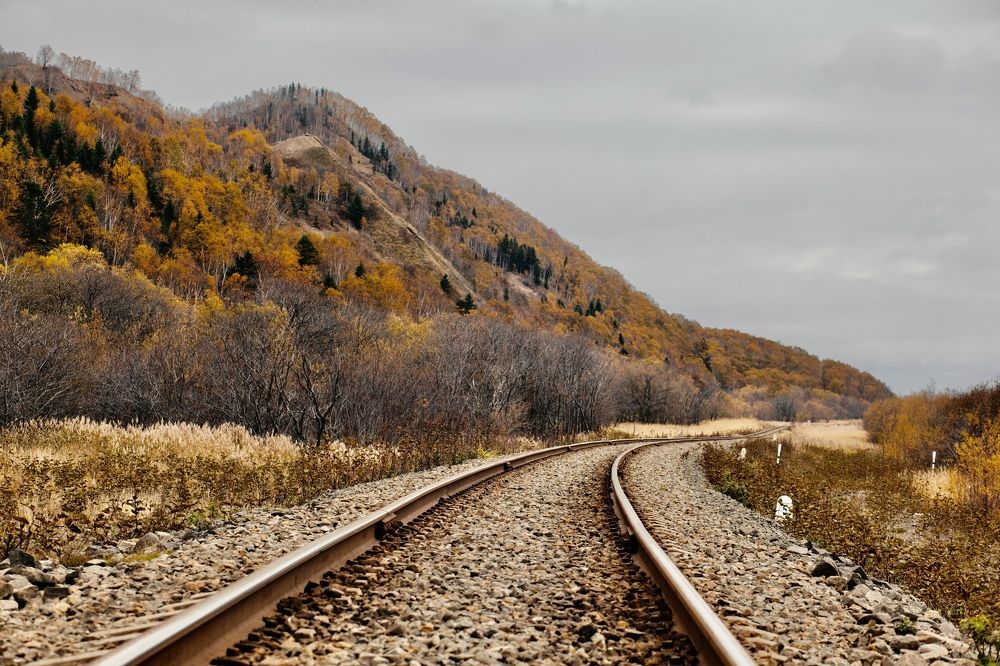 Photograph by Алина Сухова