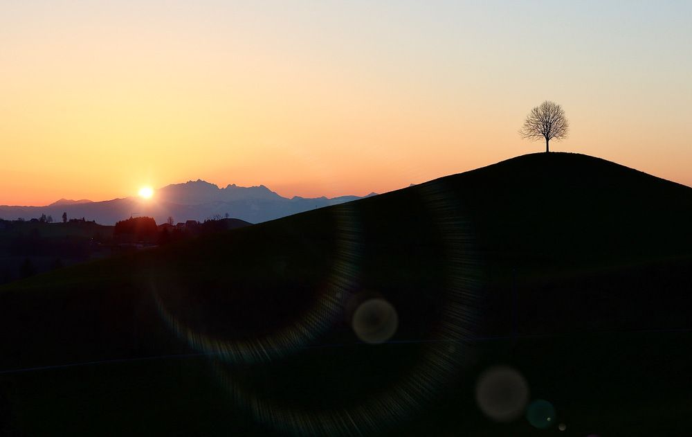 Photograph by Малика Маткарим