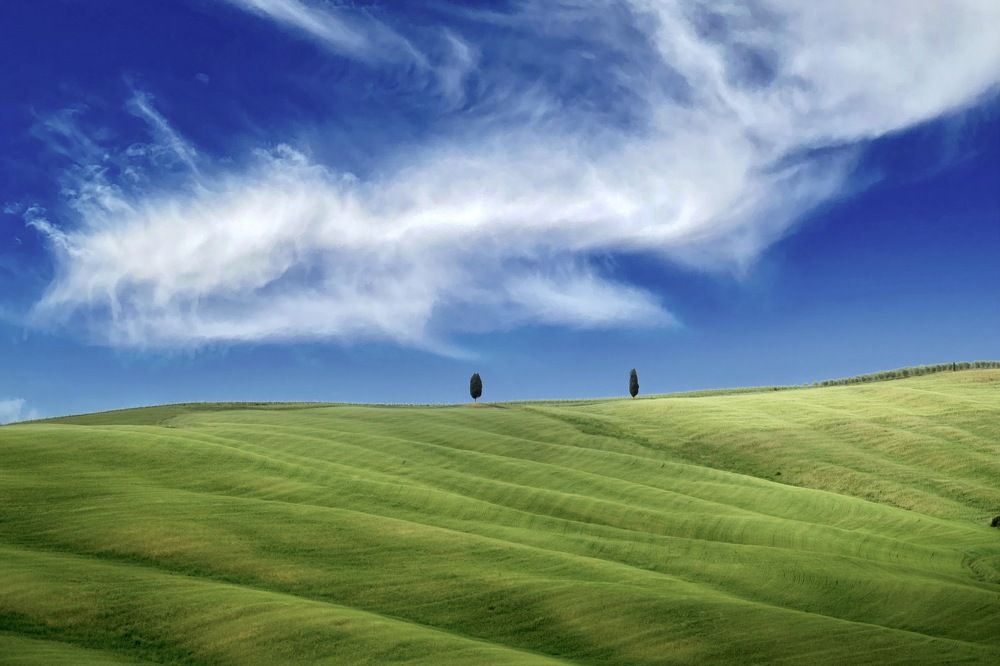 Photograph by Малика Маткарим