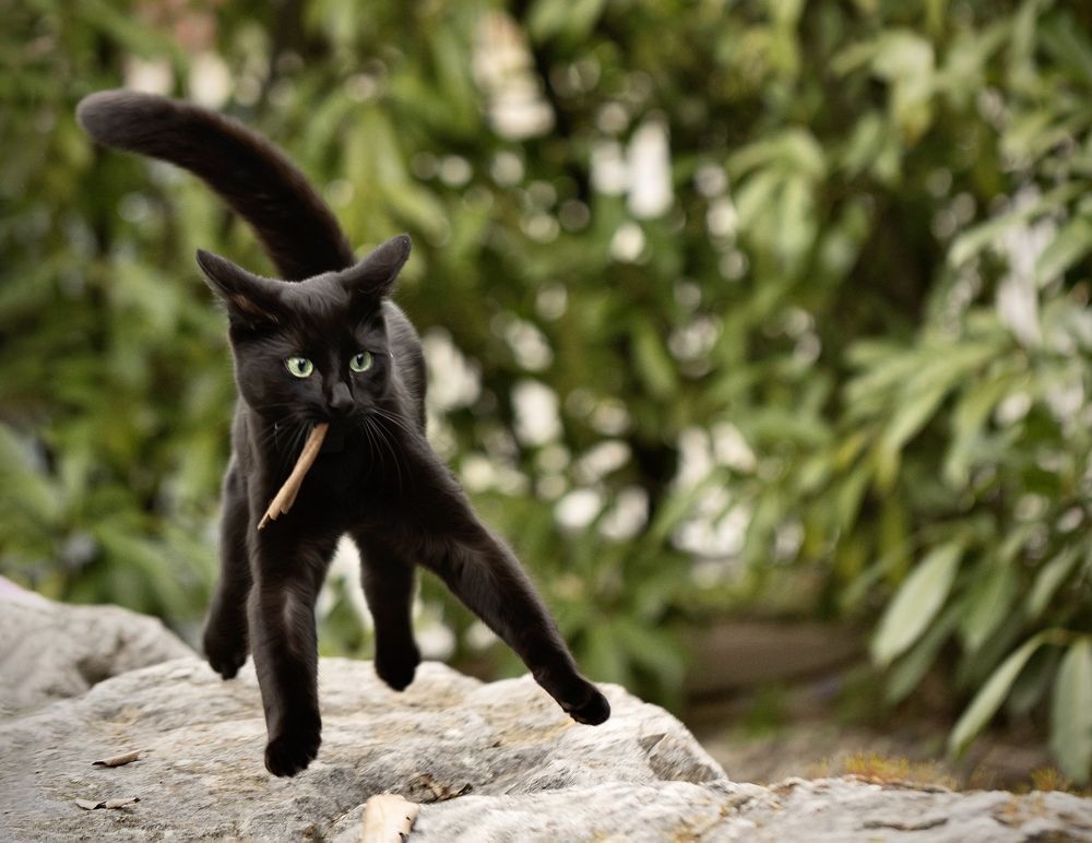 Photograph by Малика Маткарим