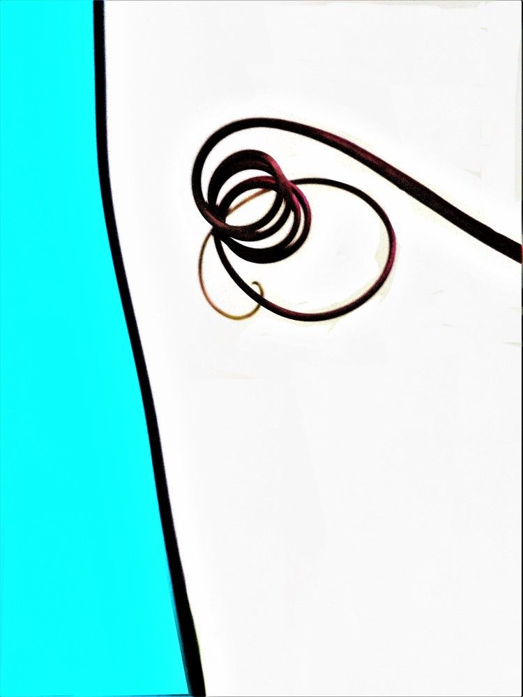 Фотография автора DENISE Monteiro de Lima Demange