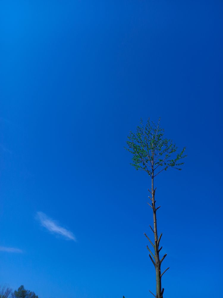 Photograph by Hadi Hadipour