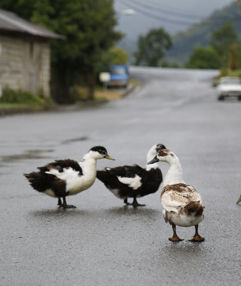 Photograph by Hadi Hadipour