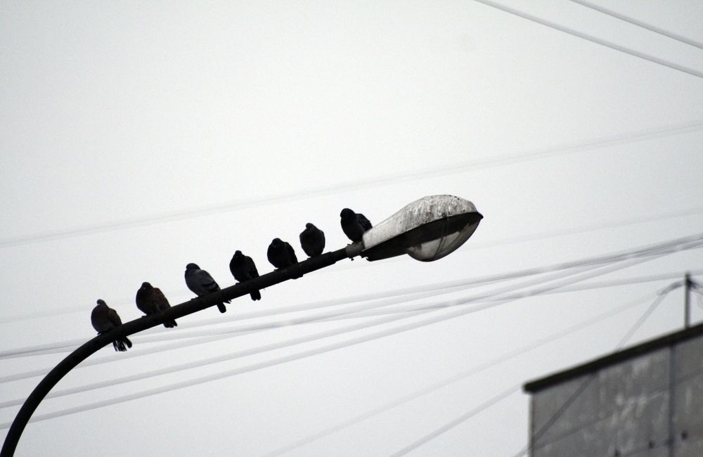 Photograph by Тома