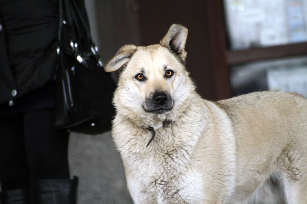 Photograph by Тома