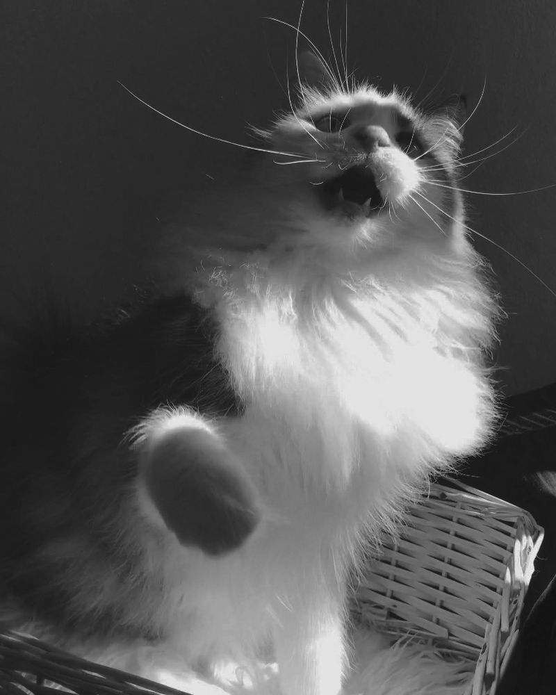 Фотография автора Anna Tikka