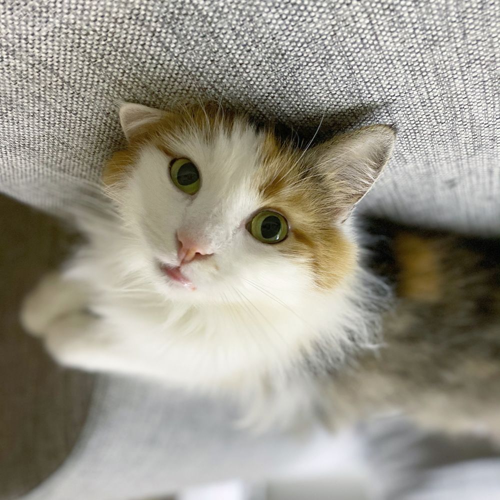 Фотография автора Anna Tikka