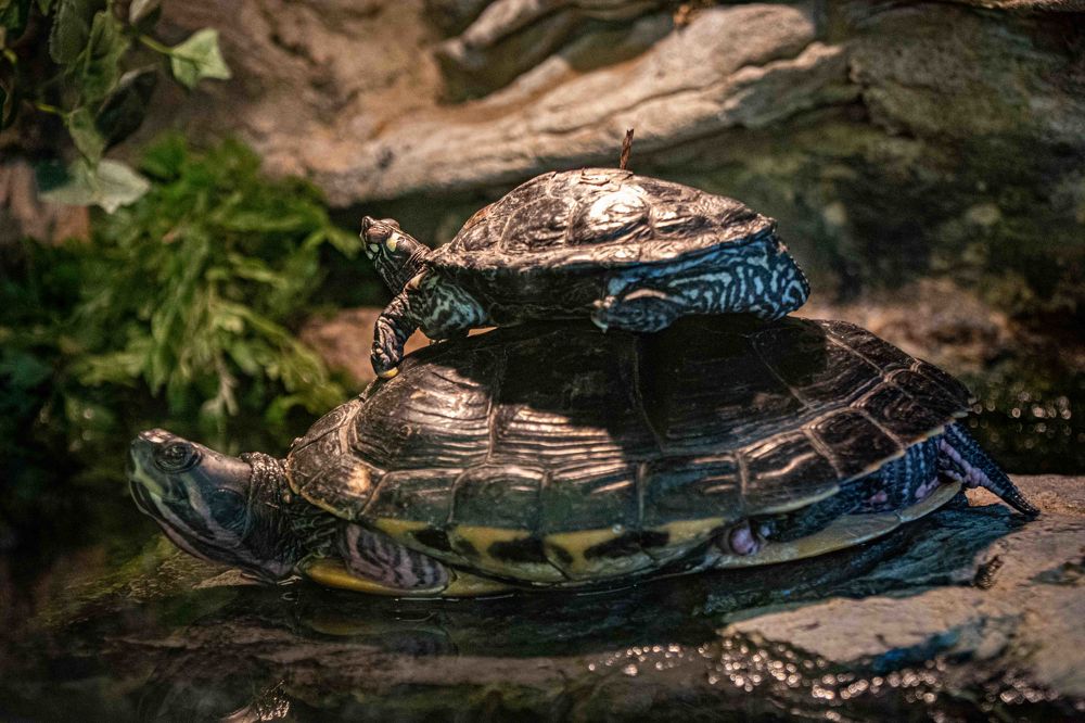 Photograph by Isaac Asch