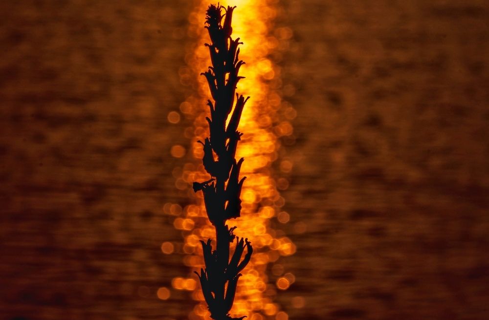 Photograph by Irina Luidinshina