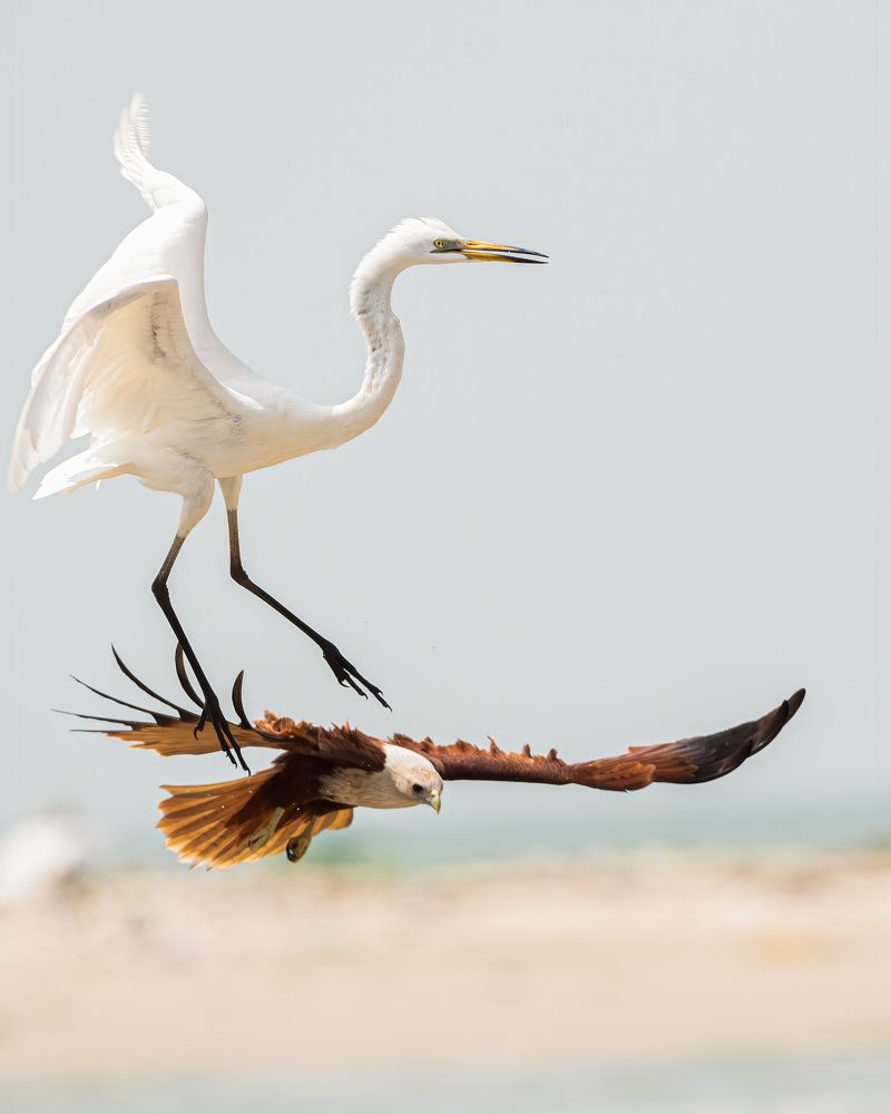 Photograph by Logeswaranathan Mohanaraj