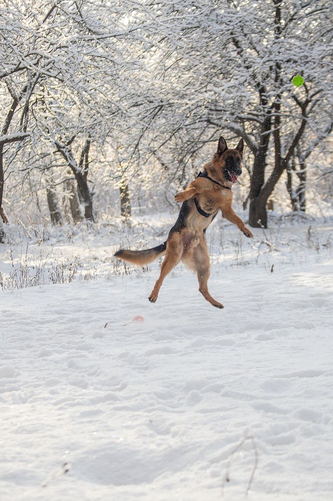 Photograph by Любовь Головина