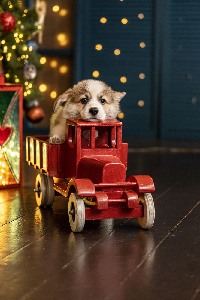 Photograph by Марина Суздаль