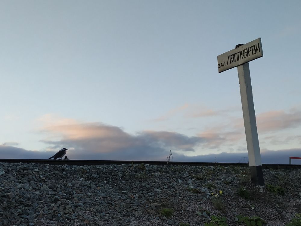 Photograph by Владимир Спиридонов