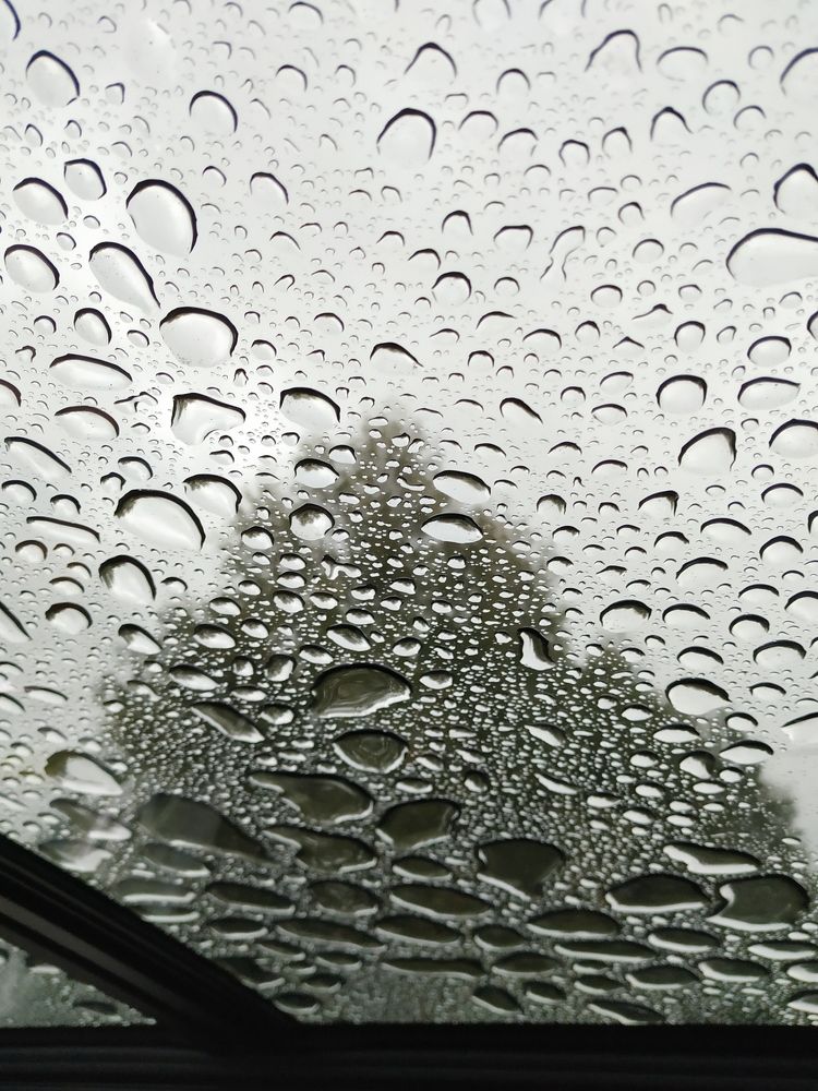 Photograph by Владимир Спиридонов